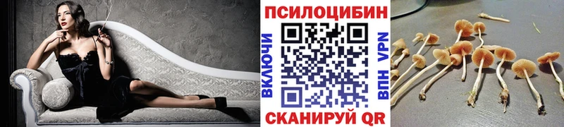 hydra ONION купить Заринск Псилоцибиновые грибы GOLDEN TEACHER